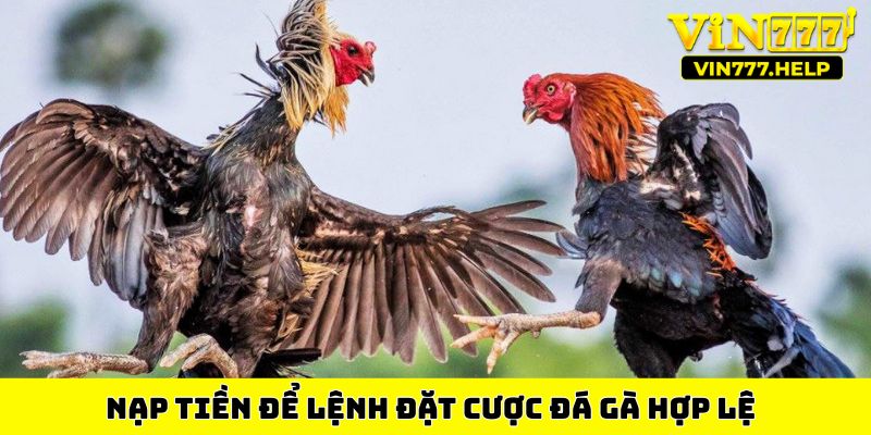 Nạp tiền để lệnh đặt cược đá gà hợp lệ