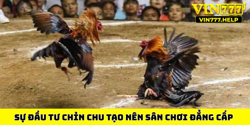 Sự đầu tư chỉn chu tạo nên sân chơi đẳng cấp