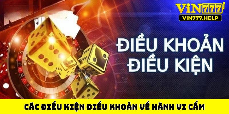 Các điều kiện điều khoản về hành vi cấm