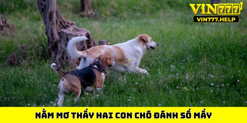 Nằm mơ hai con chó đánh số mấy